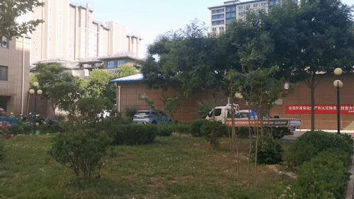 image007.gif