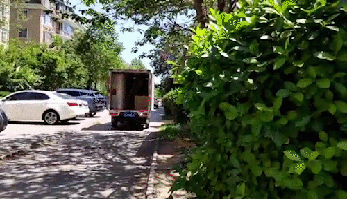 image017.gif