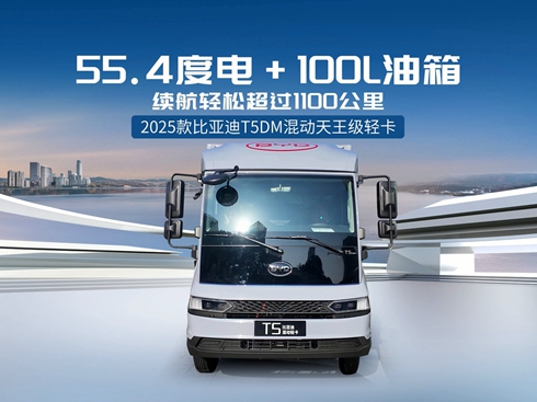 ҕl1100 2025ȁT5DMp